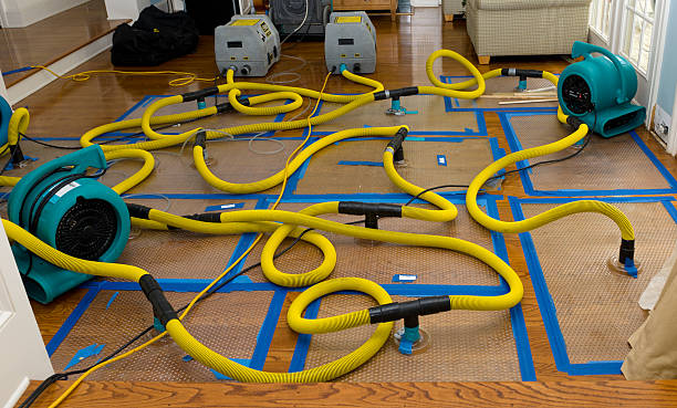 Professional Water Damage Restoration technician working in Lockhart, TX